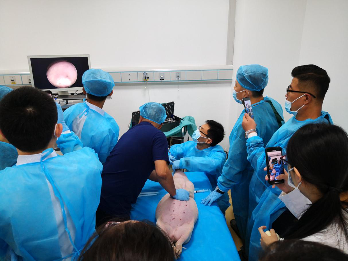 山东省医学会助力基层工程暨呼吸内镜手把手学习班成功举办