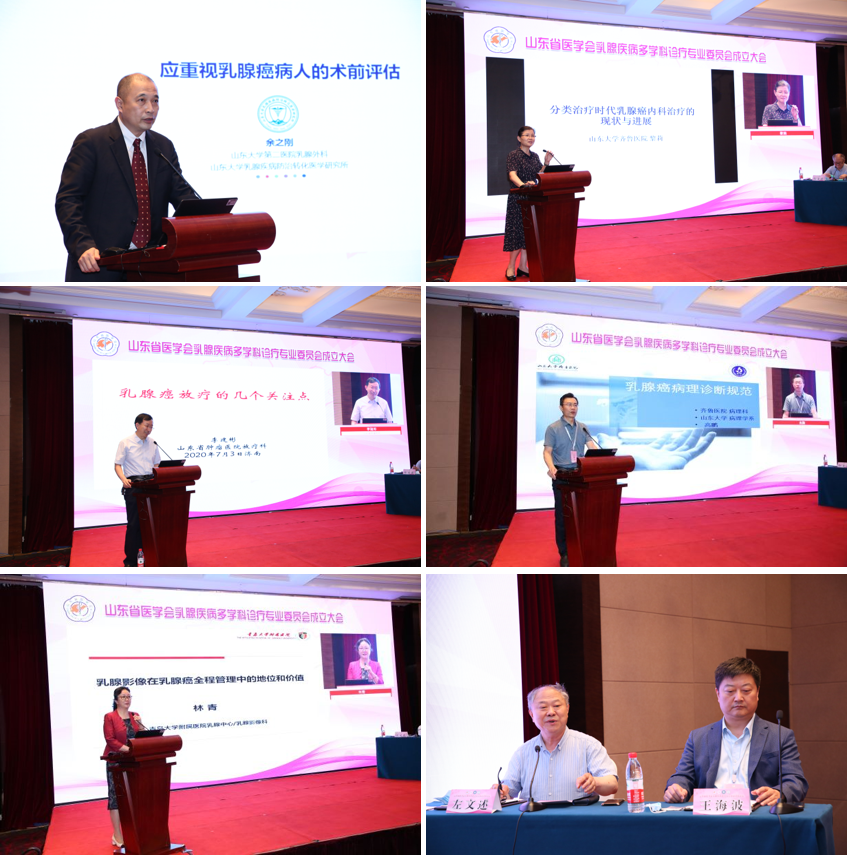 省医学会乳腺疾病多学科联合委员会成立