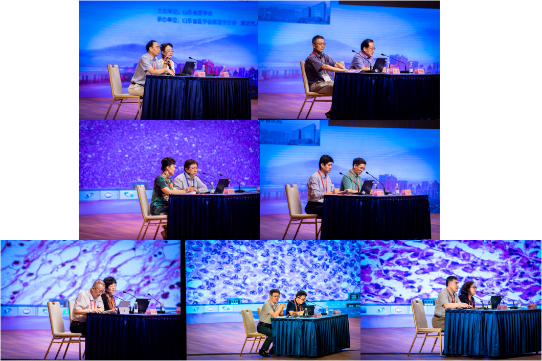 山东省第二十二次病理学学术会议暨病理读片会在潍坊成功召开