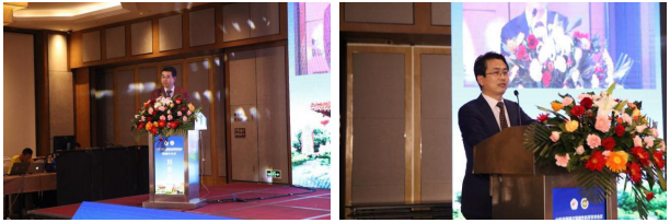 山东省第四次显微外科学学术会议在泰安成功举办