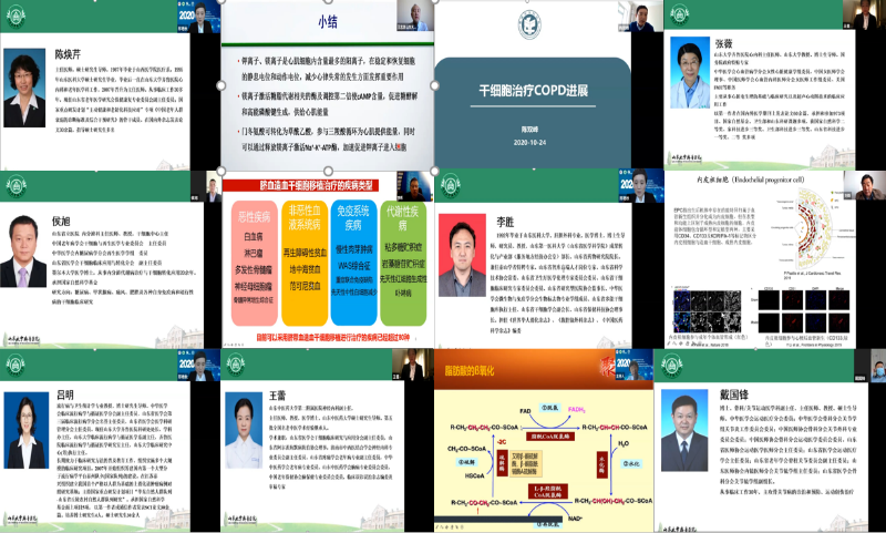 图形用户界面, 网站描述已自动生成