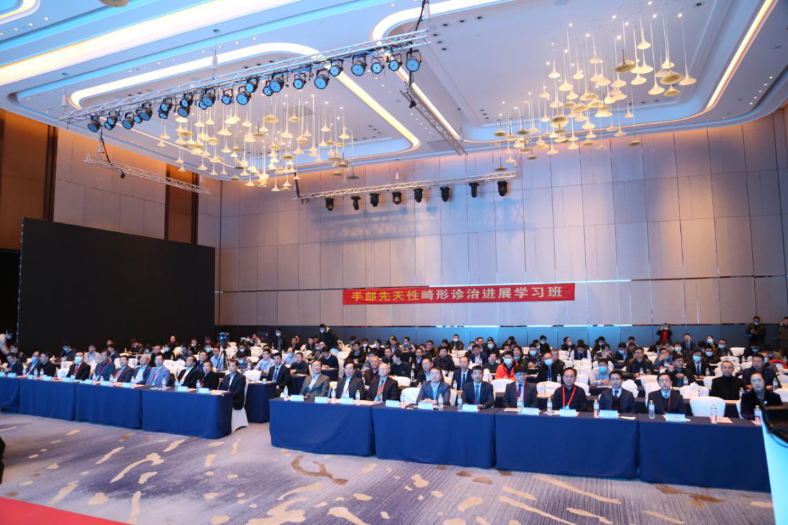 山东省第十三次手外科学学术会议在济南成功召开