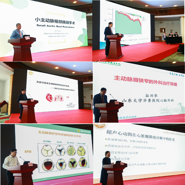 ​山东省瓣膜论坛暨山东省心脏病瓣膜疾病规范化诊疗培训（第三期）成功举办