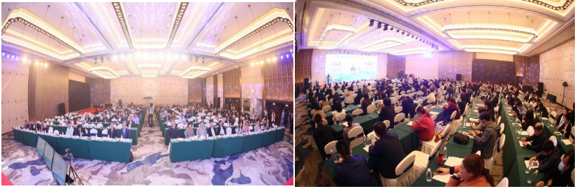 2021山东消化疾病学术会议成功举办