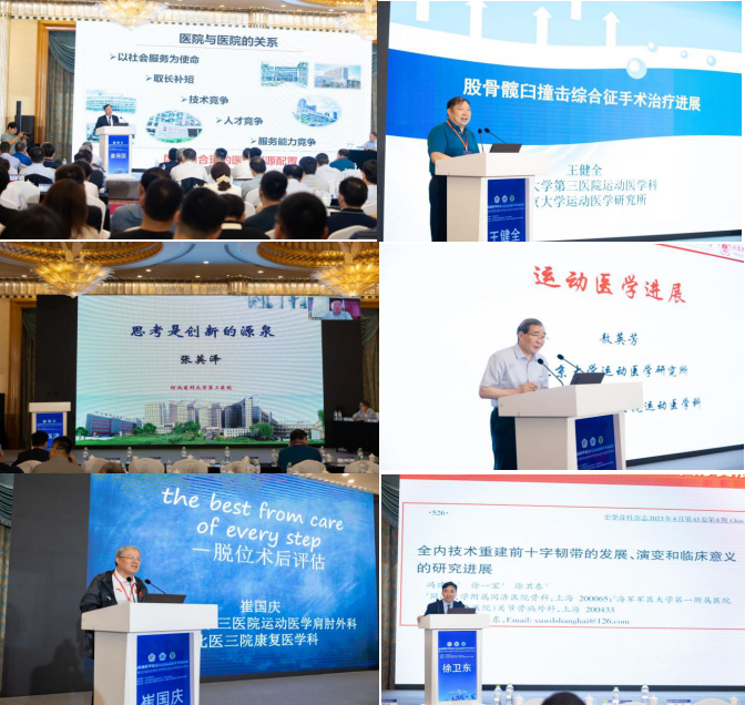 山东省医学会第九次运动医疗学术会议 暨青岛市医学会骨科学专科分会 2024年度学术年会在青岛召开