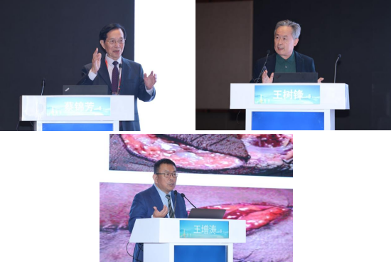 首届黄河显微外科学大会在济南召开