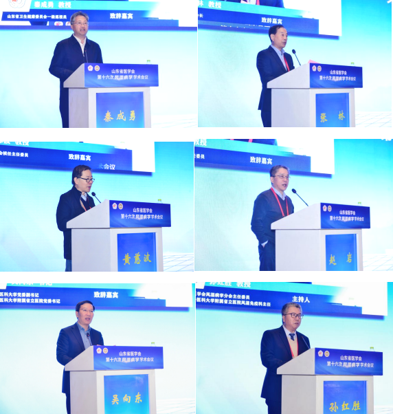 山东省医学会第十六次风湿病学学术会议成功举办